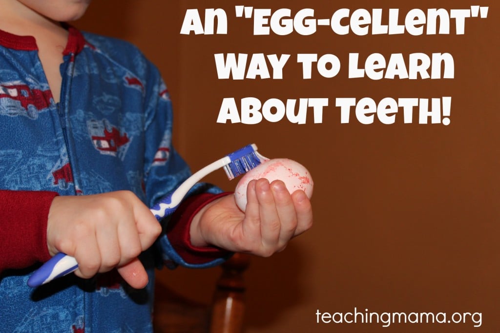 An "Egg-Cellent" way to Learn About Teeth