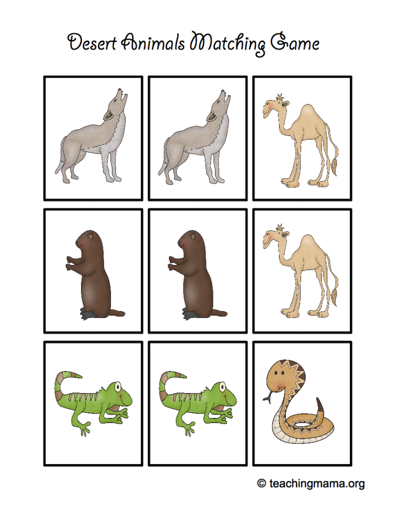 animal games : x  worksheet  790x1024.png 1024 Name : MatchingDesertGame File 790 Resolution