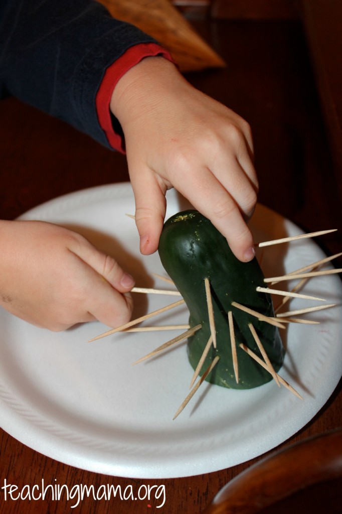 Making Your Own Cactus