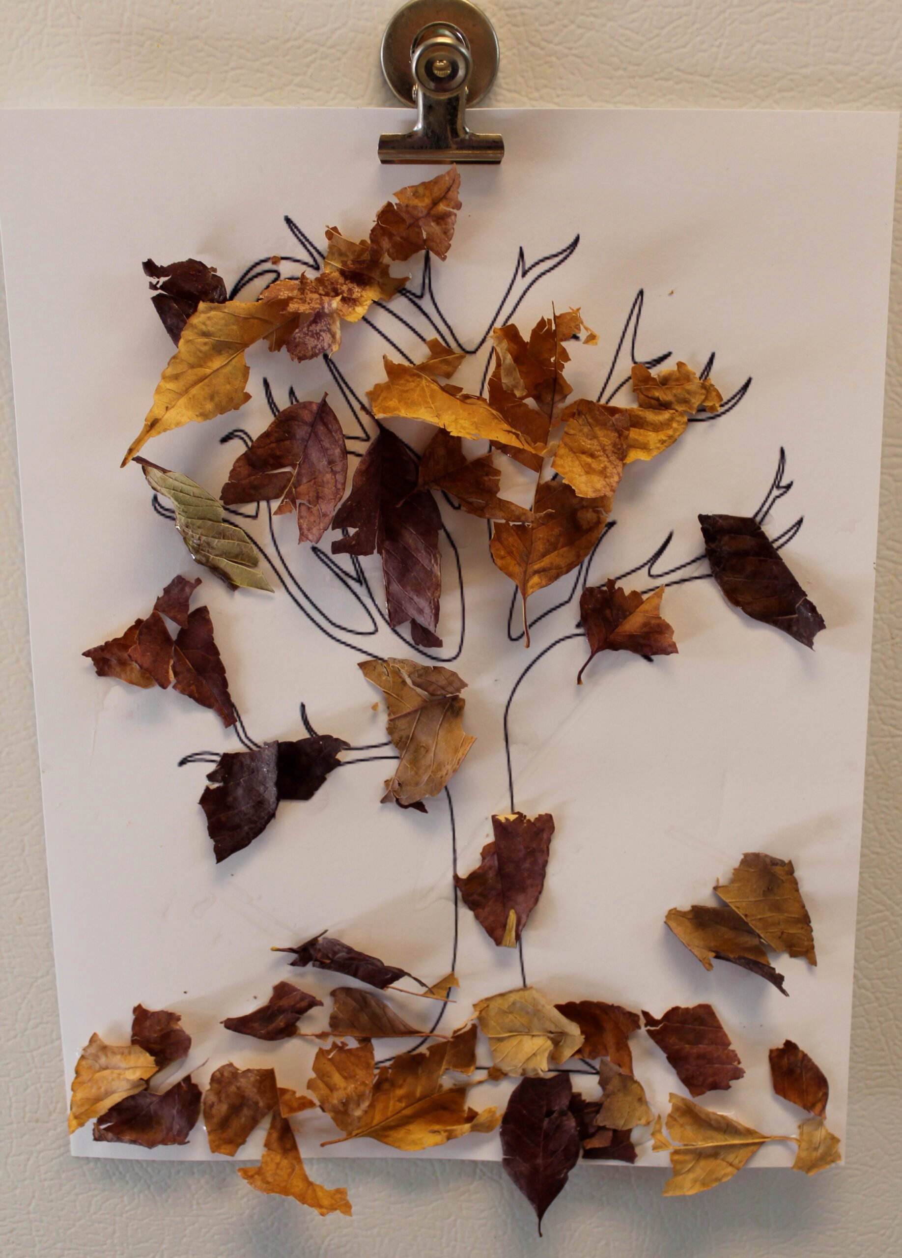 Crunched-Up Leaves Project