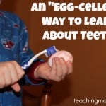 An “Egg-cellent” Way to Learn About Teeth
