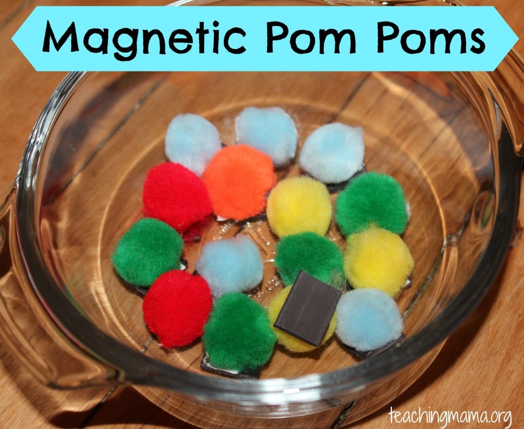 Magnetic Pom Poms
