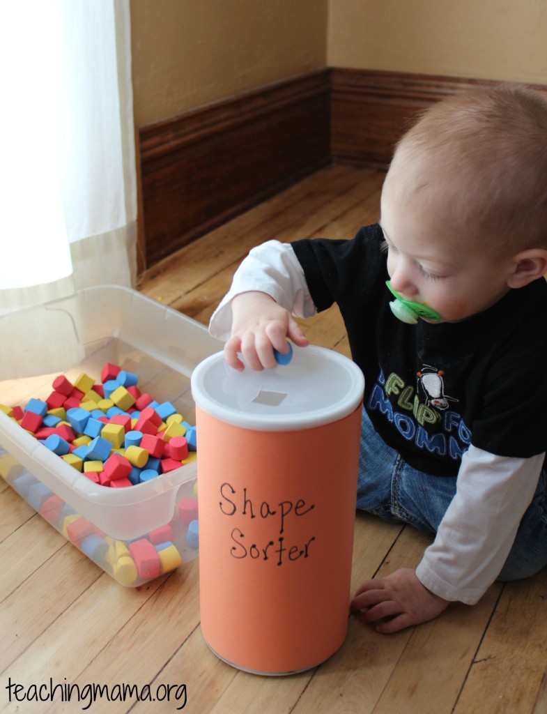 Shape Sorter Activity