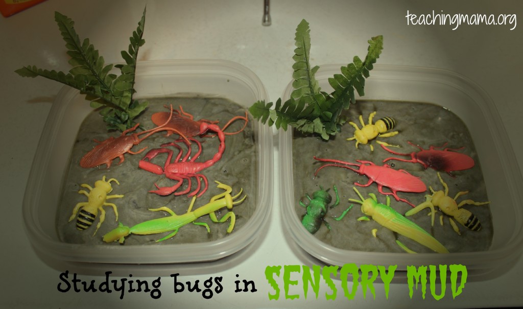 Studying Bugs with Sensory Mud