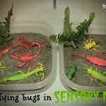 B is for Bugs!