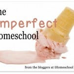 I’m an Imperfect Mom…
