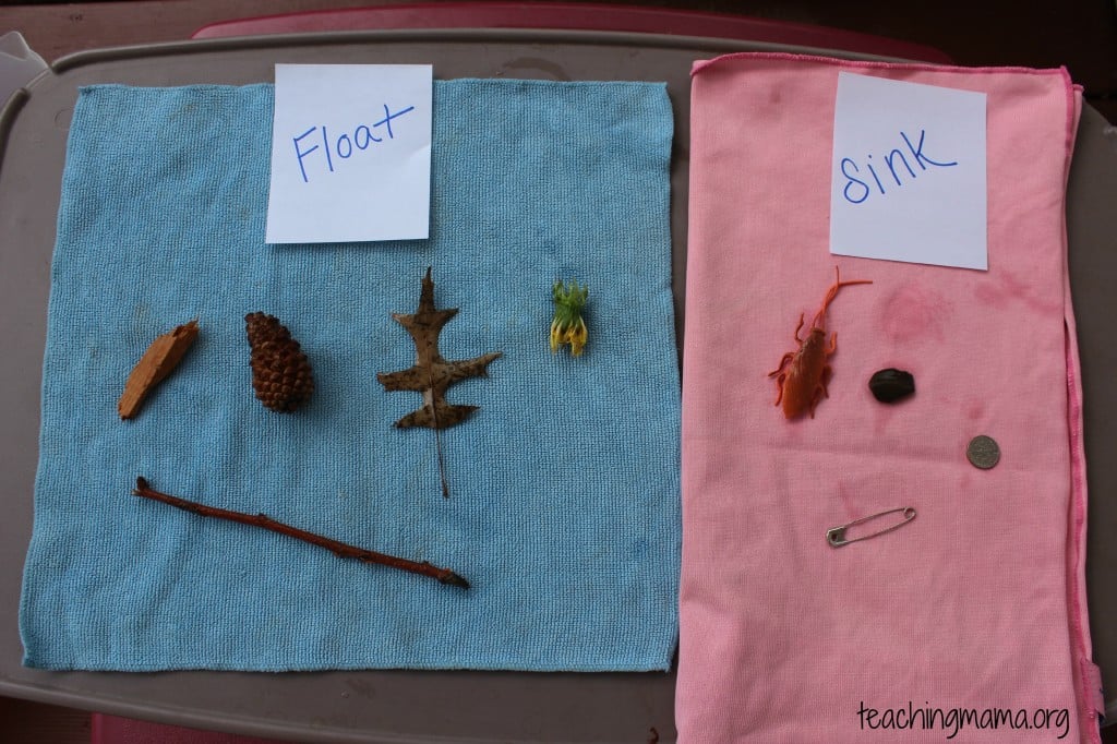 Categories for Sink or Float Activity