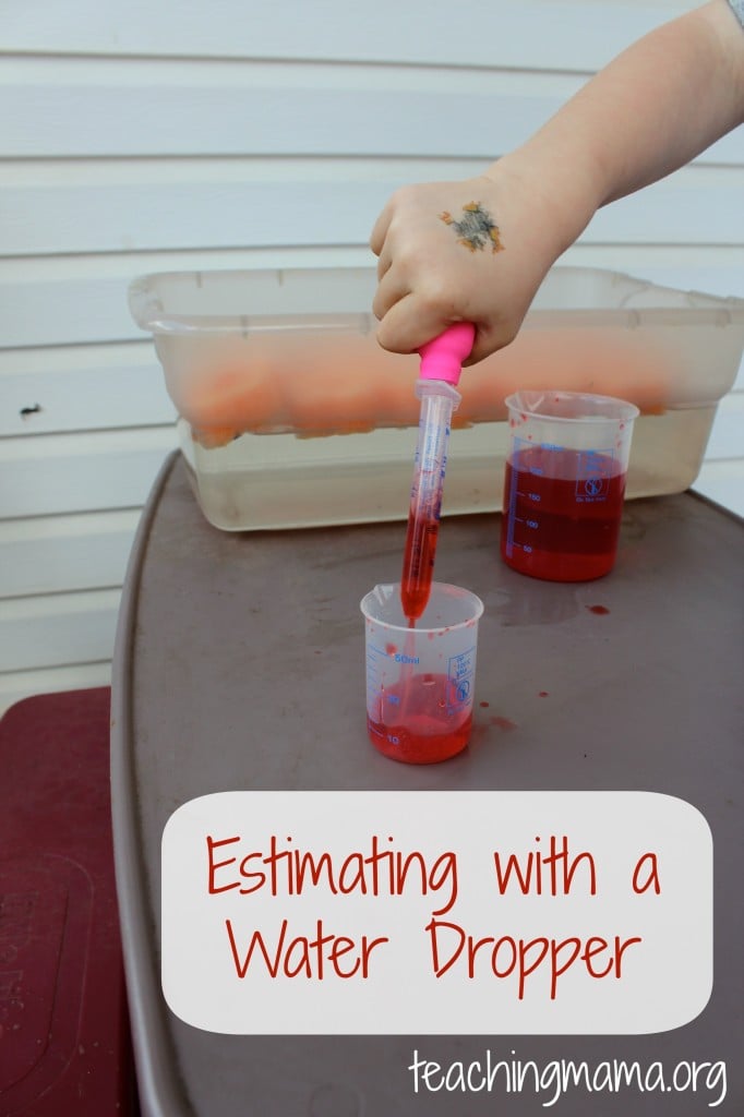 Estimating using a Water Dropper