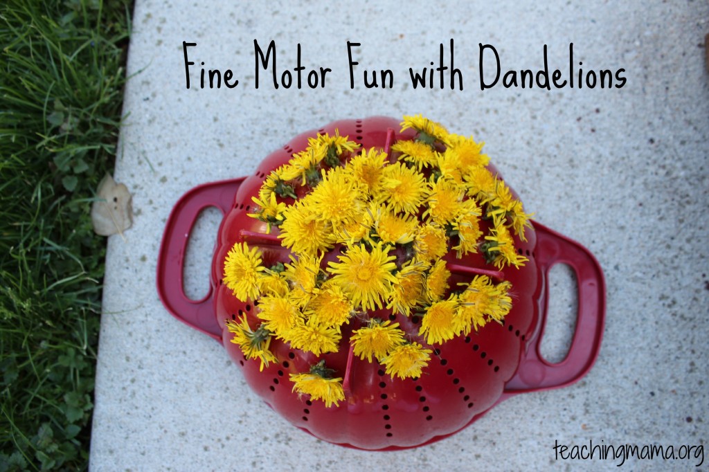 Fine Motor Fun with Dandelions