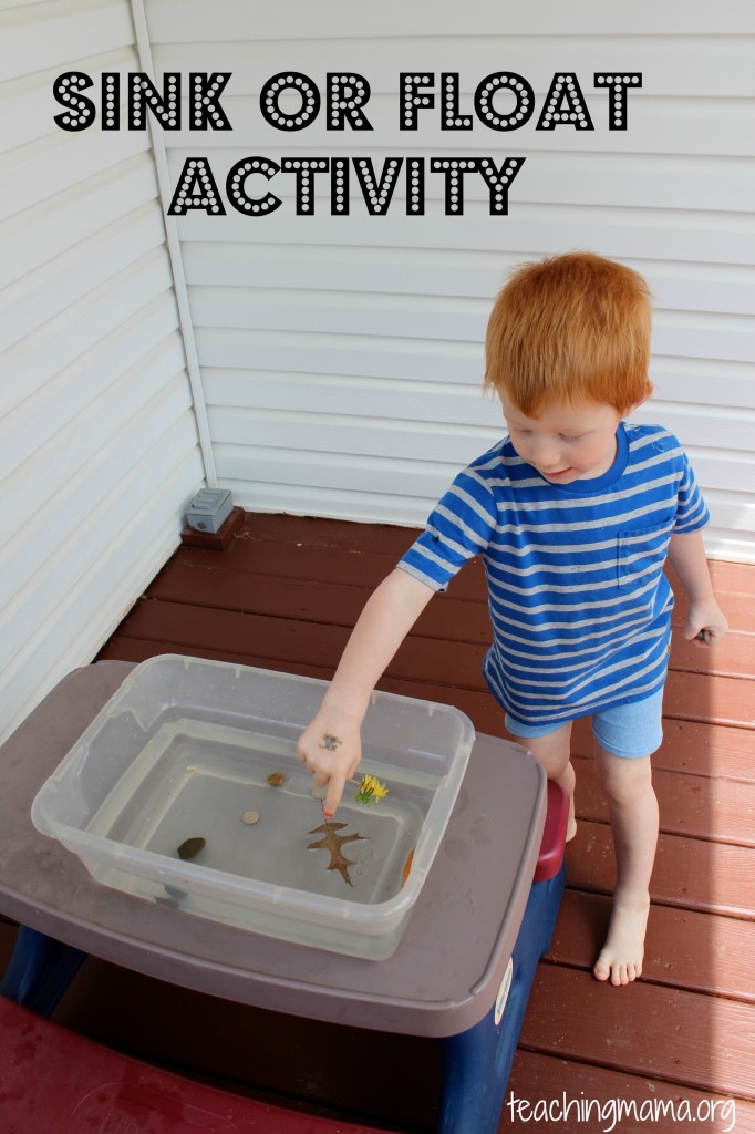 Sink or Float Activity