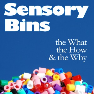 SensoryBins300