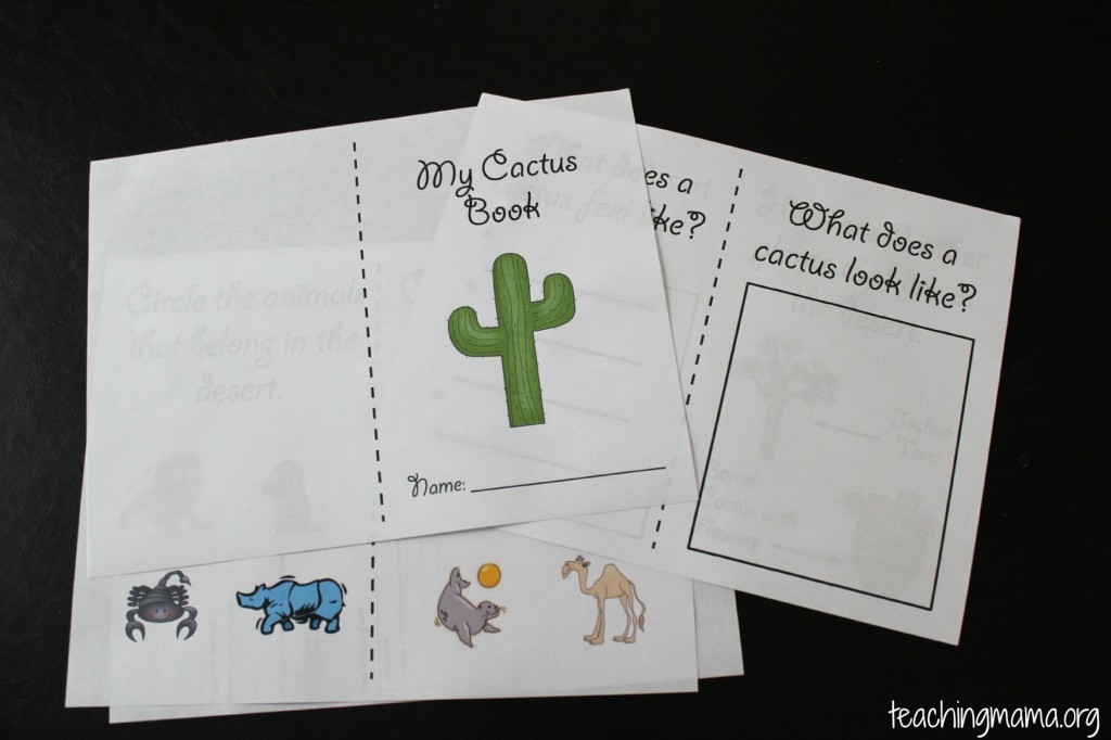 Free Saguaro Cactus Life Cycle Worksheet worksheet for Kids