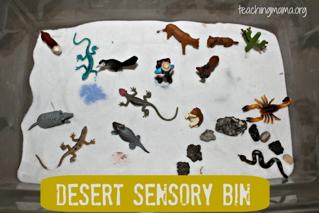 Desert Sensory Bin