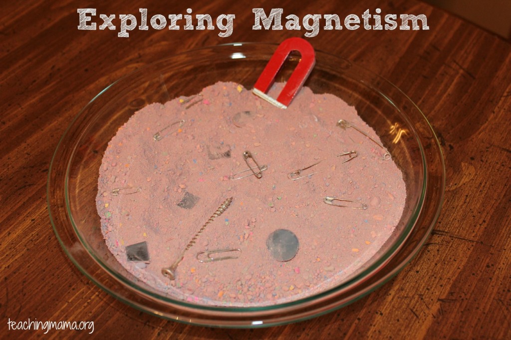 magnet experiment for kindergarten