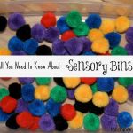 All You Need to Know About Sensory Bins