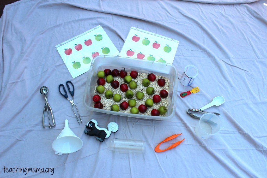 Invitation to play with Apple Sensory Bin