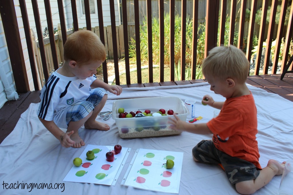 Pattern Cards with Apple Sensory Bin