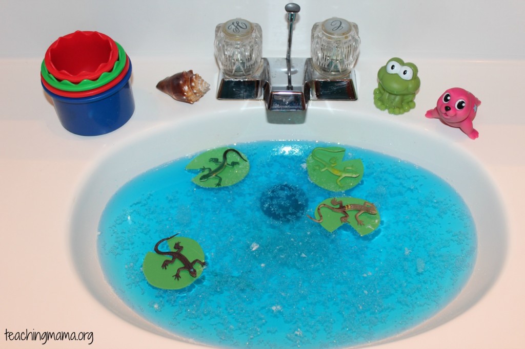 Sensory Sink