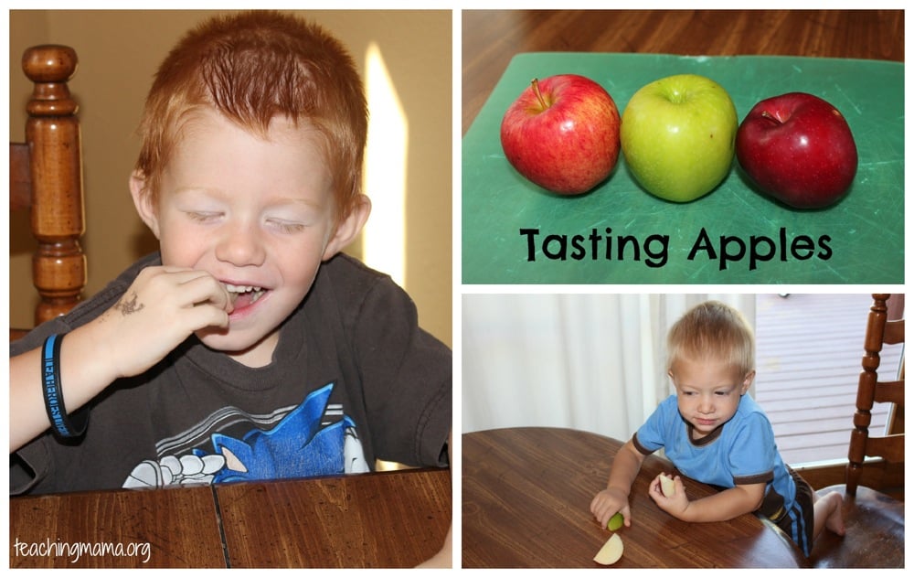 Tasting Apples