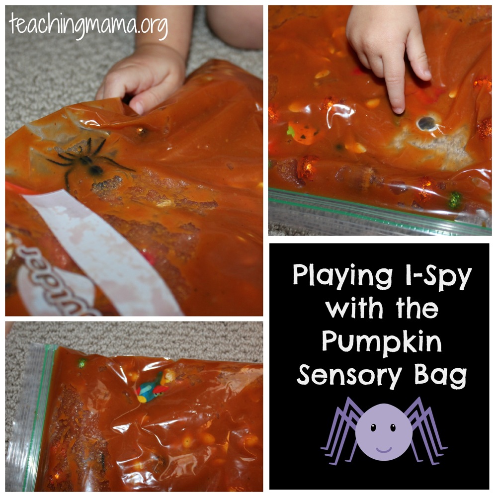 I-Spy Game with Pumpkin Sensory Bag