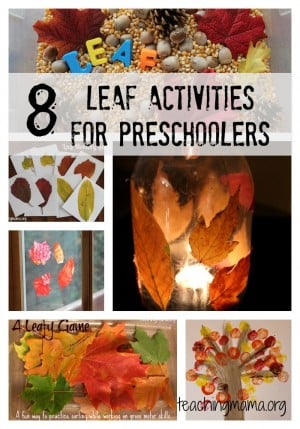 Leaf Science Activities Packet