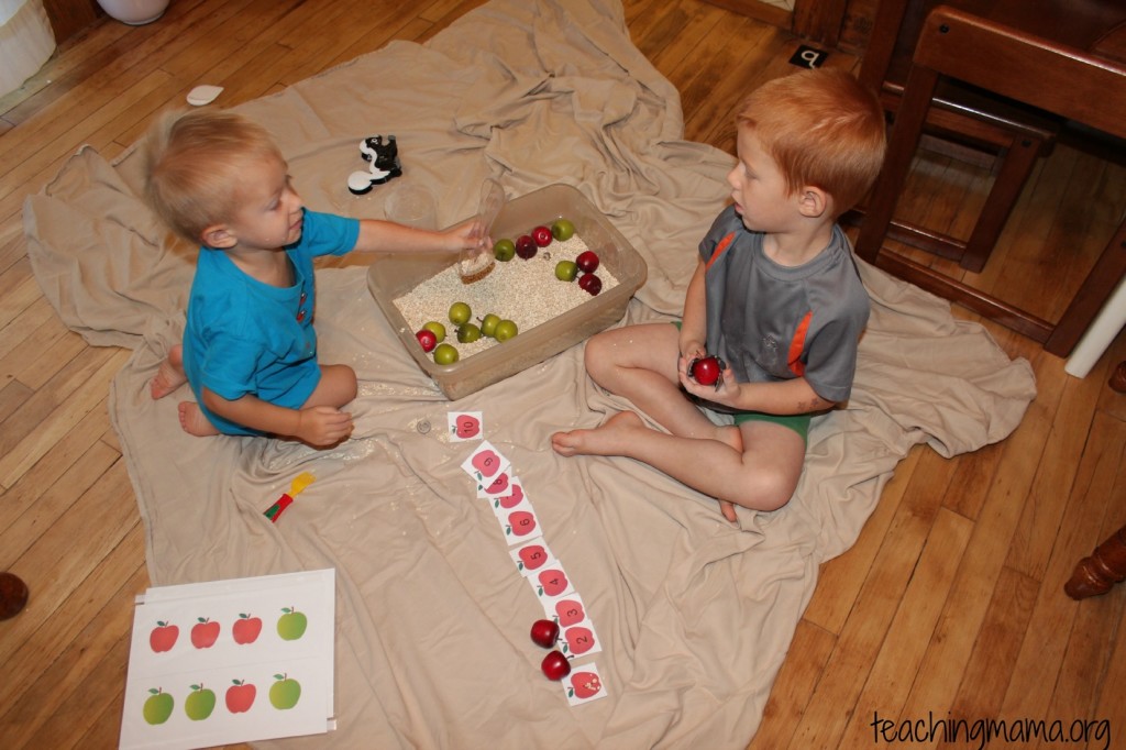 Apple Sensory Bin