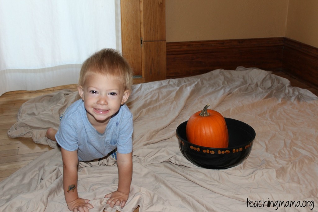 Pumpkin Sensory Activity