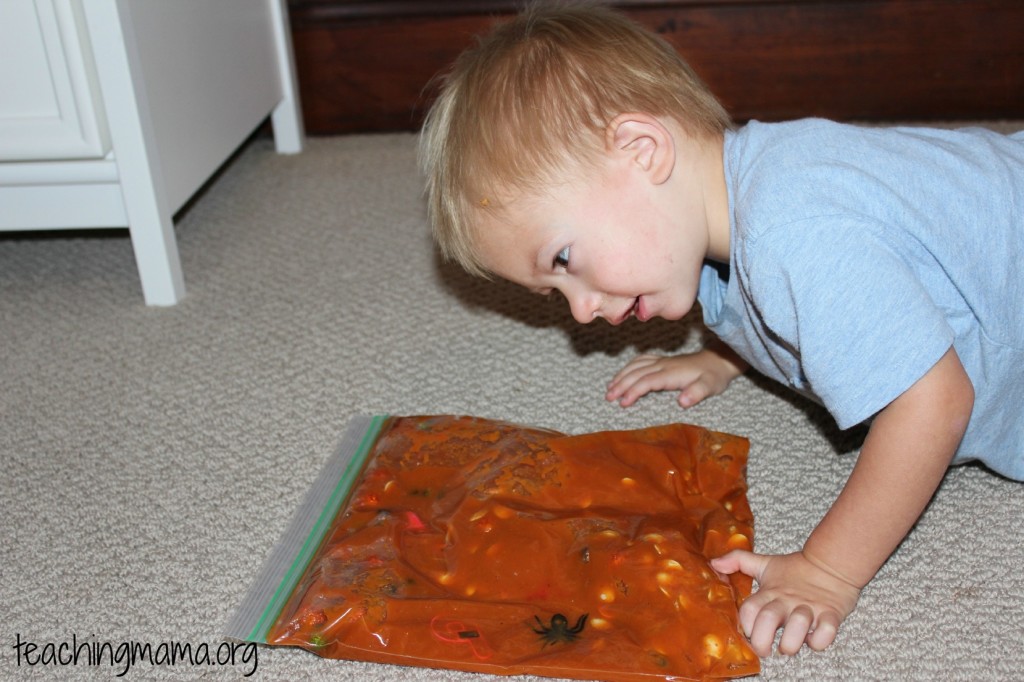 Pumpkin Sensory Bag