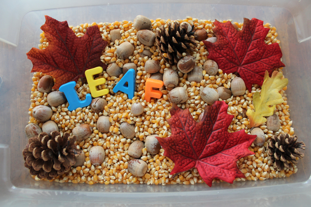 Leaf Sensory Bin