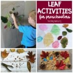 Leaf Activities for Preschoolers