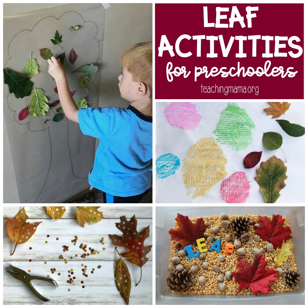 leaf-activities-for-preschoolers-teaching-mama