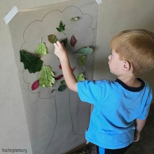 Leaf Activities For Preschoolers - Teaching Mama