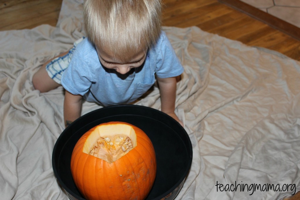 Pumpkin Sensory Activity