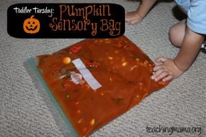 sensory bag with pumpkins