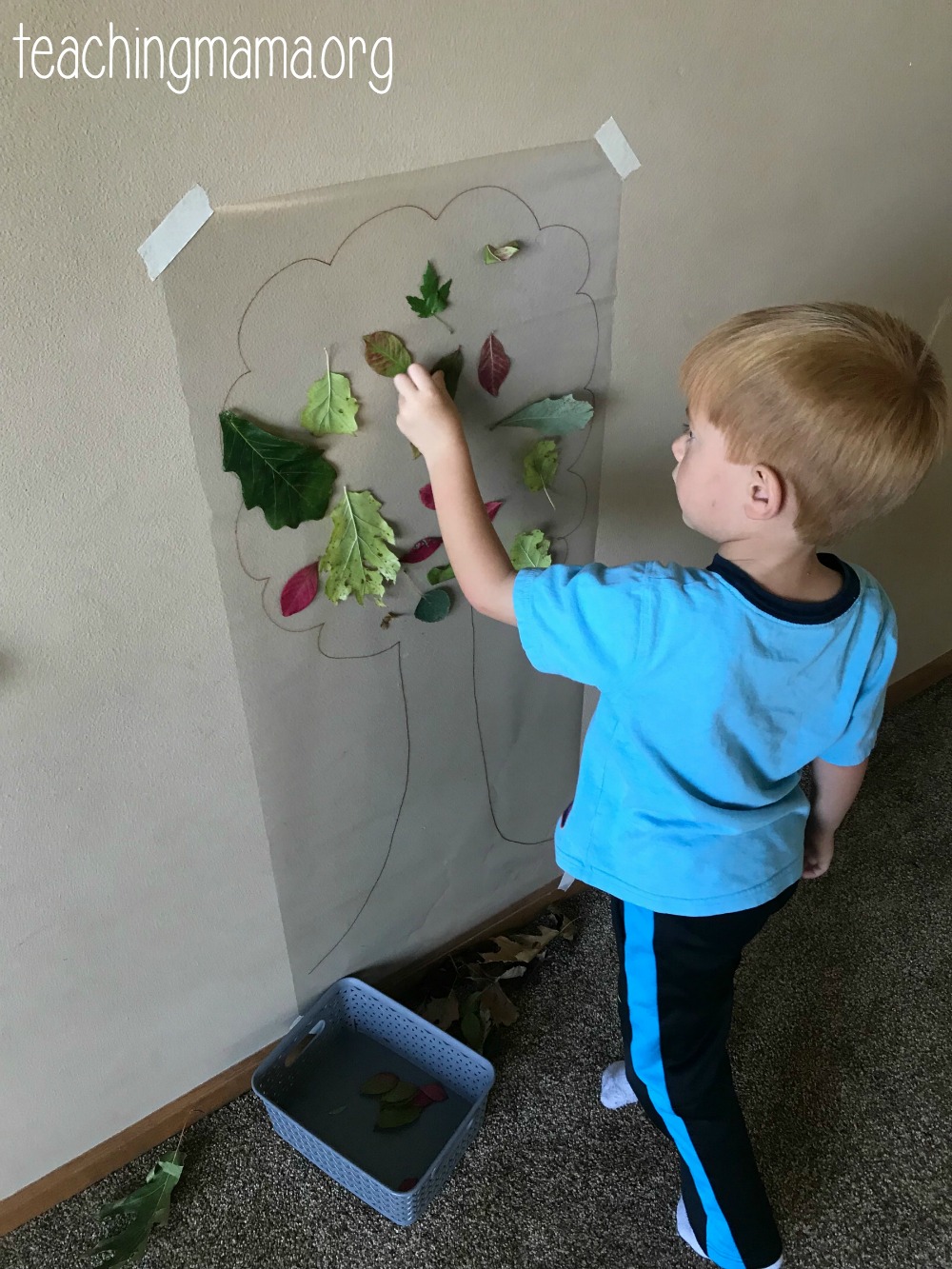 Toddler Tuesday: Sticky Tree Activity - Teaching Mama