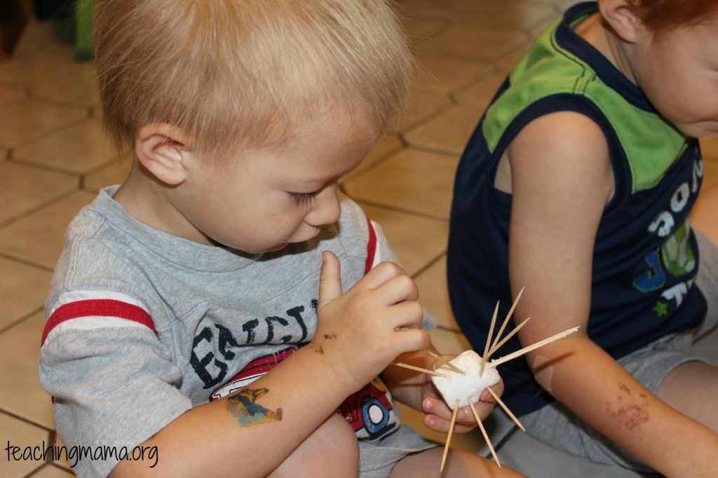 Marshmallow Fun