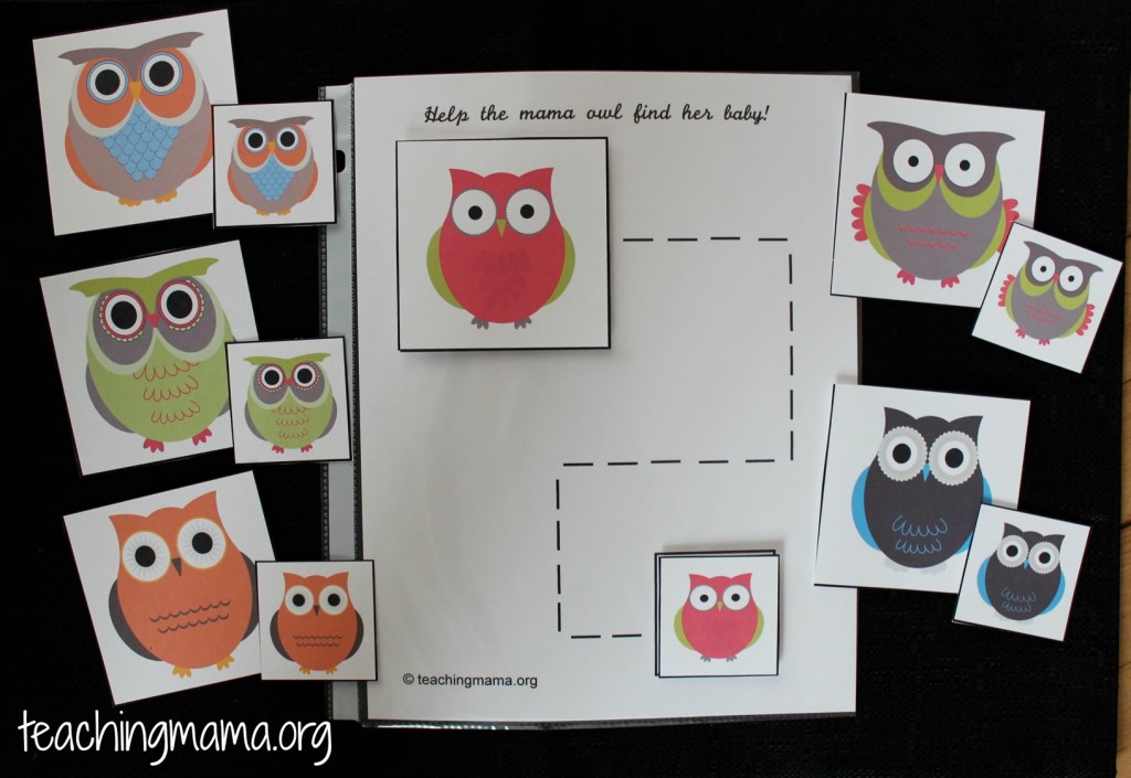 Owl Activity for Busy Bags