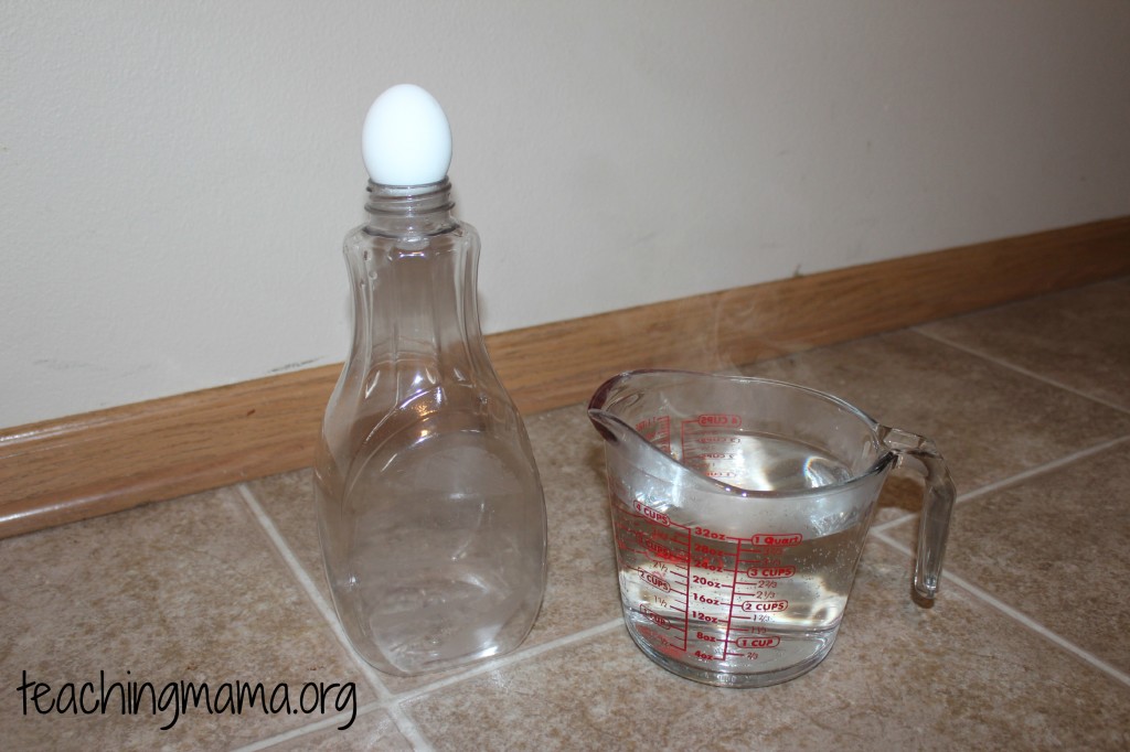 Egg in a Bottle Supplies