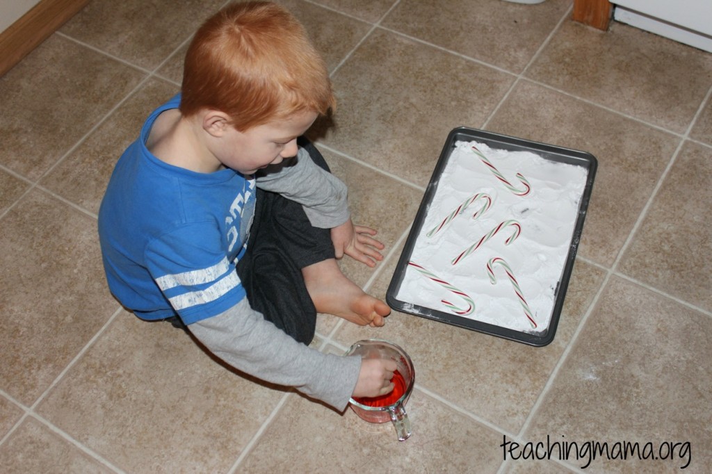 Fizzing Candy Cane experiment