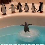 Penguin Sensory Sink