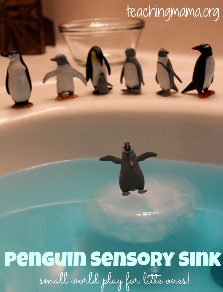 penguin sensory sink