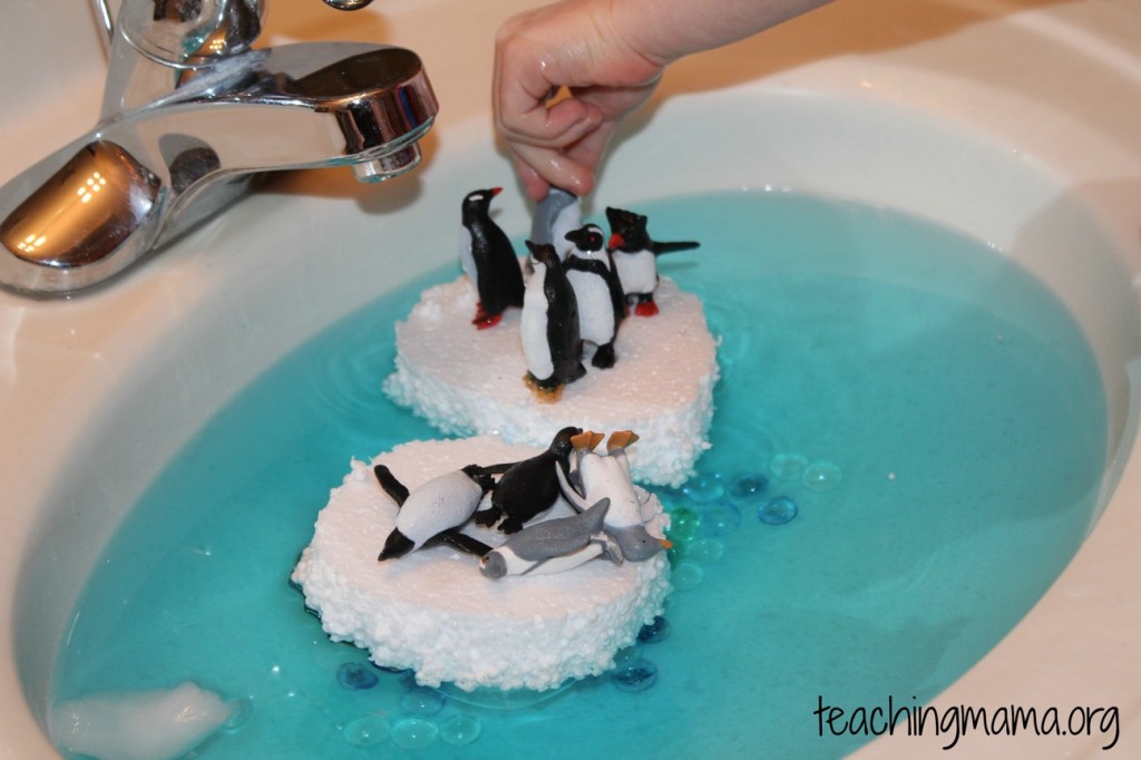 playing with penguins