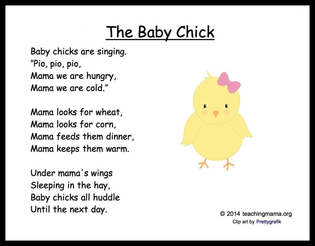 The Baby Chick