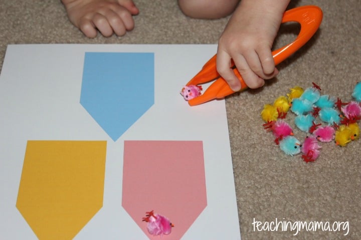 Fine Motor Activity with Chicks