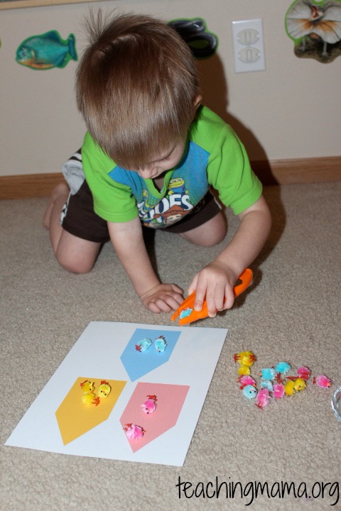 Sorting Chicks by Color