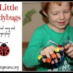 5 Little Ladybugs {Song & Fingerplay}