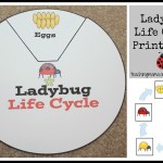 Ladybug Life Cycle Activities & Printables