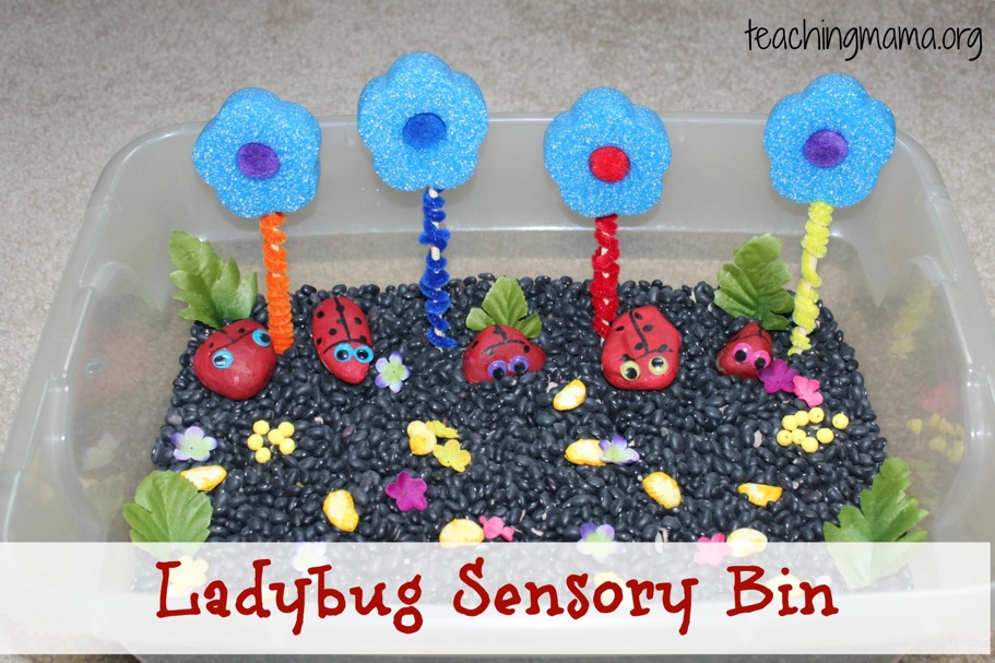 Ladybug Sensory Bin