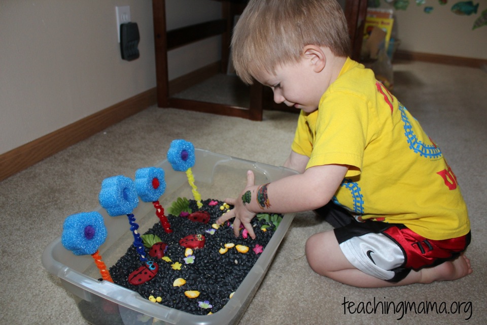 Sensory Bin