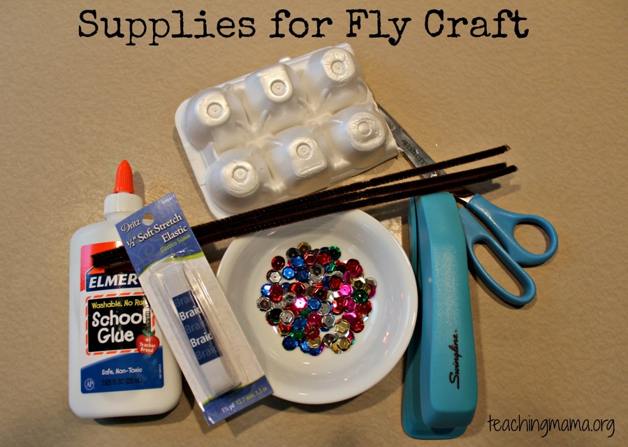 Supplies for Fly Craft